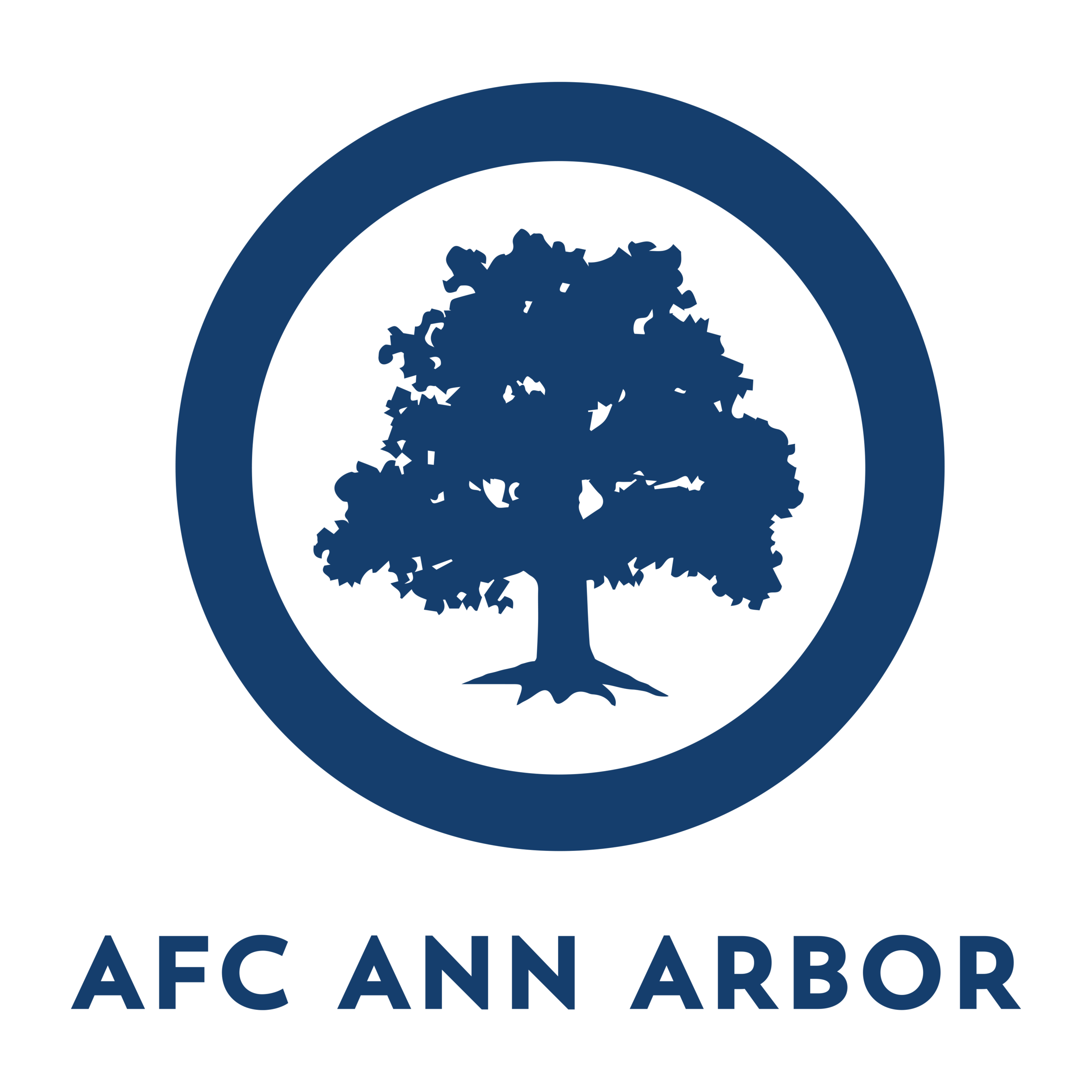 ann arbor ann arbor